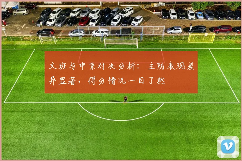 文班与申京对决分析：主防表现差异显著，得分情况一目了然